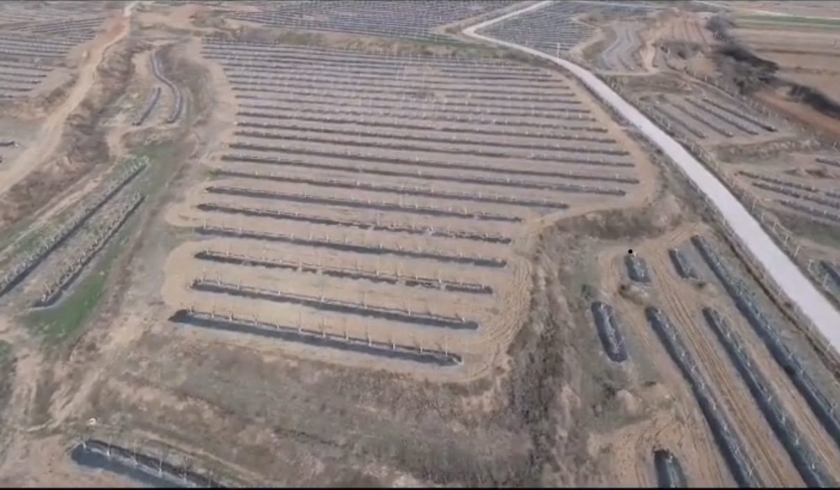 質保3年千畝果園防草布鋪設案例