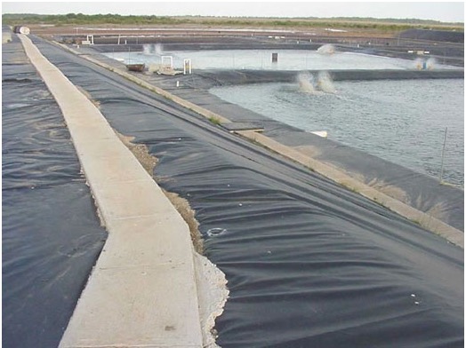 蝦池/魚(yú)塘水產(chǎn)養(yǎng)殖專用防滲膜