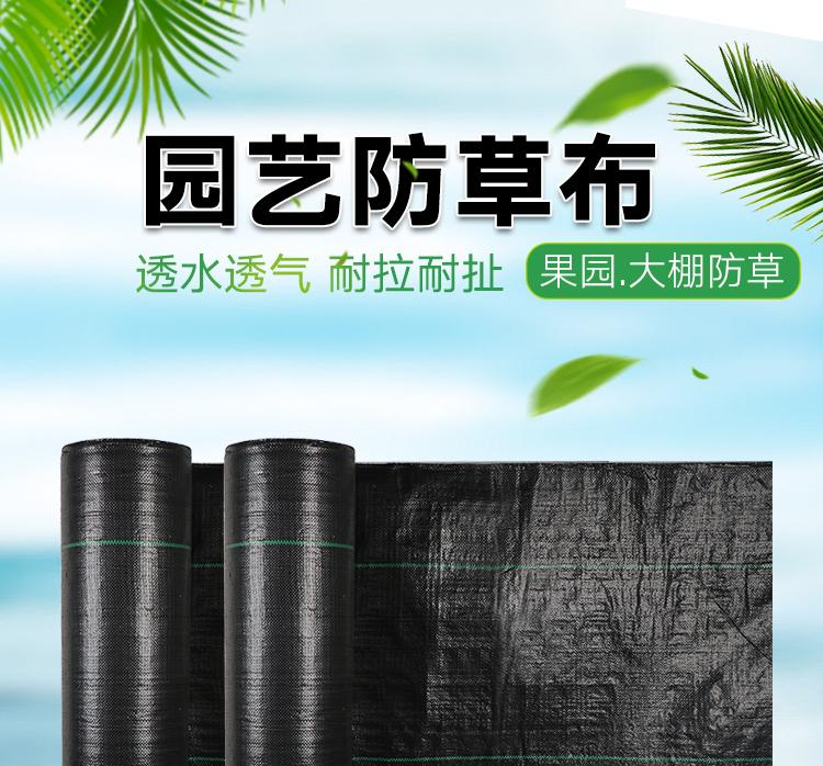 1618534038242518.jpeg 1.jpeg