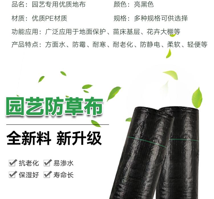 1618534071920123.jpeg 4.jpeg