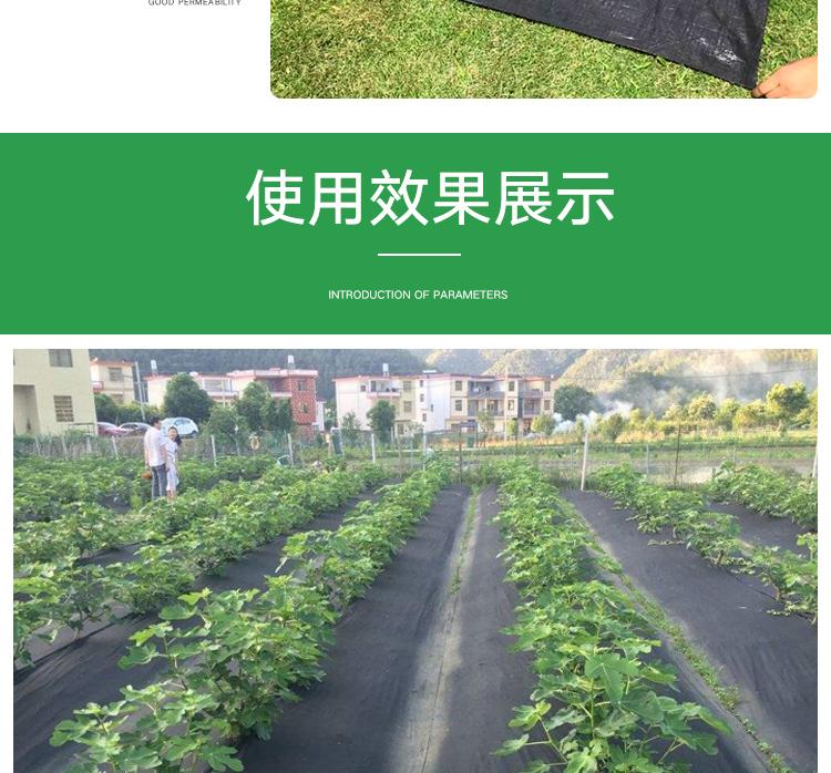 1618534112230617.jpeg 8.jpeg