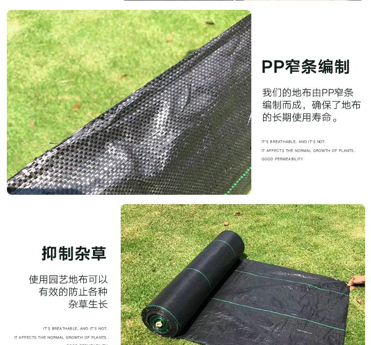 1618534606999877.jpeg 7.jpeg