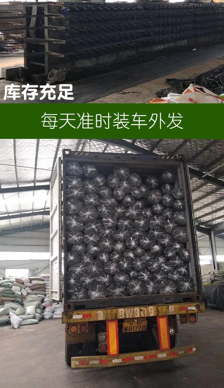 1618534622189796.jpeg 9.jpeg