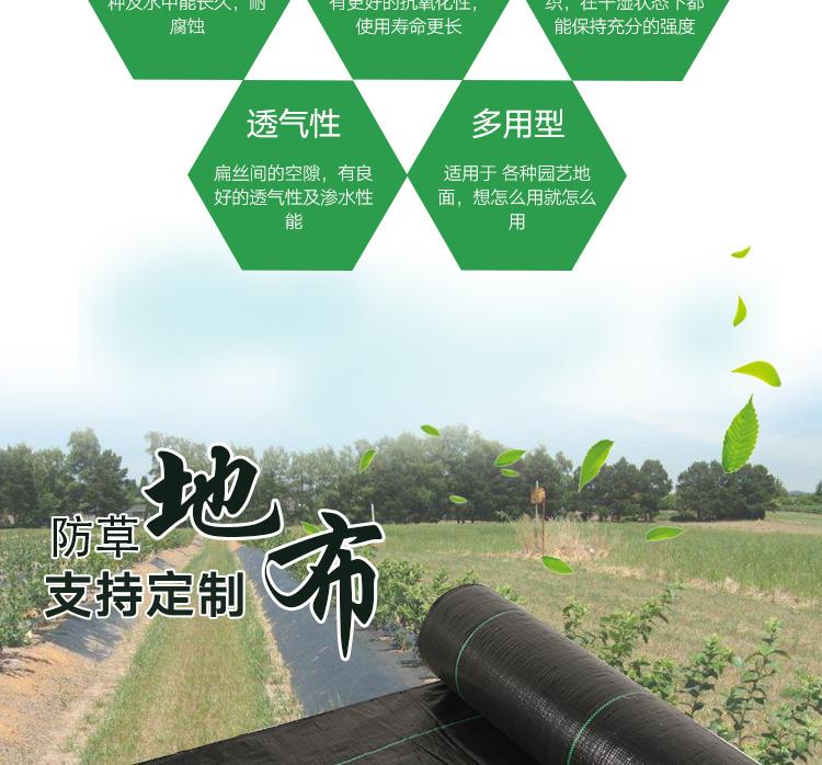 1618534715542622.jpeg 3.jpeg