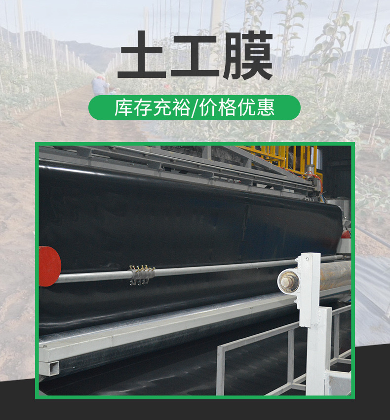 1618537955170443.jpg 2.jpg