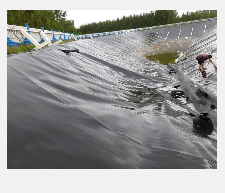 1618538009282924.jpg 10.jpg