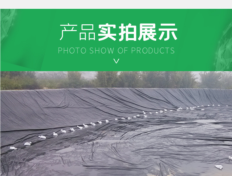 1618538017474439.jpg 11.jpg