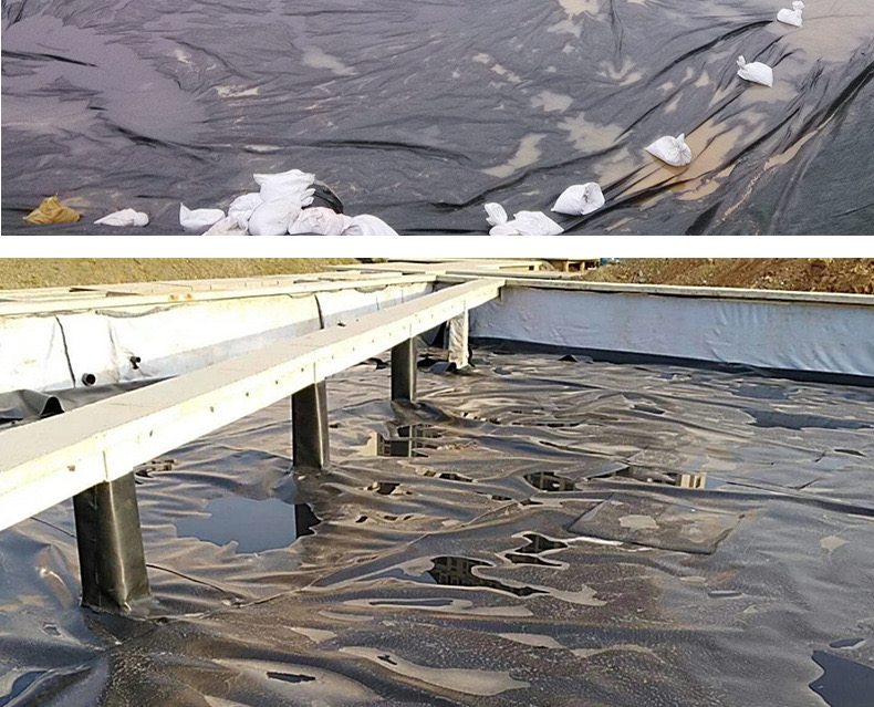 1618538023384744.jpg 12.jpg