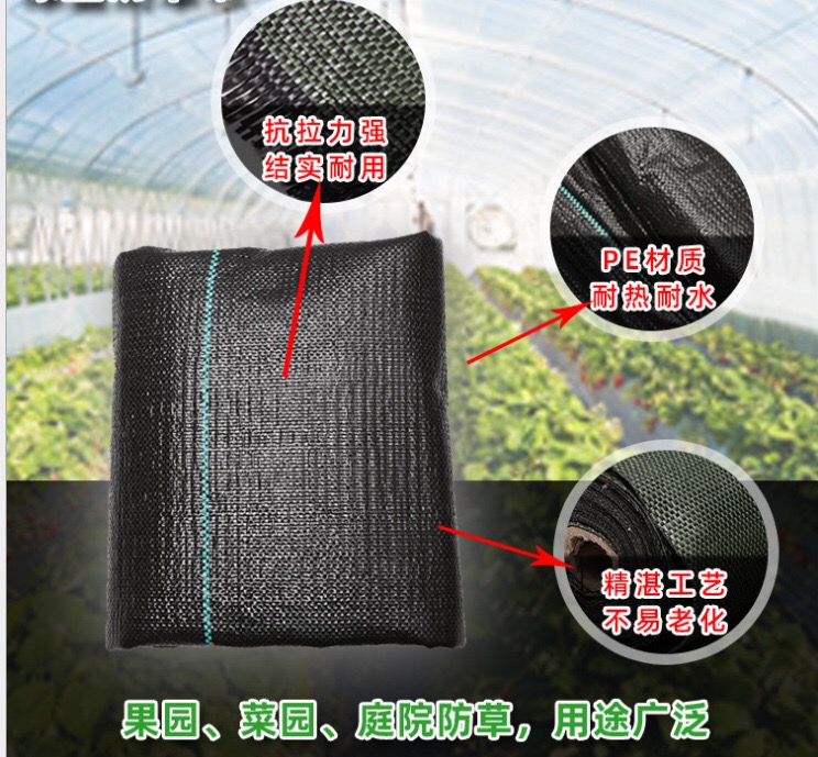 1618545848372553.jpg 1.jpg