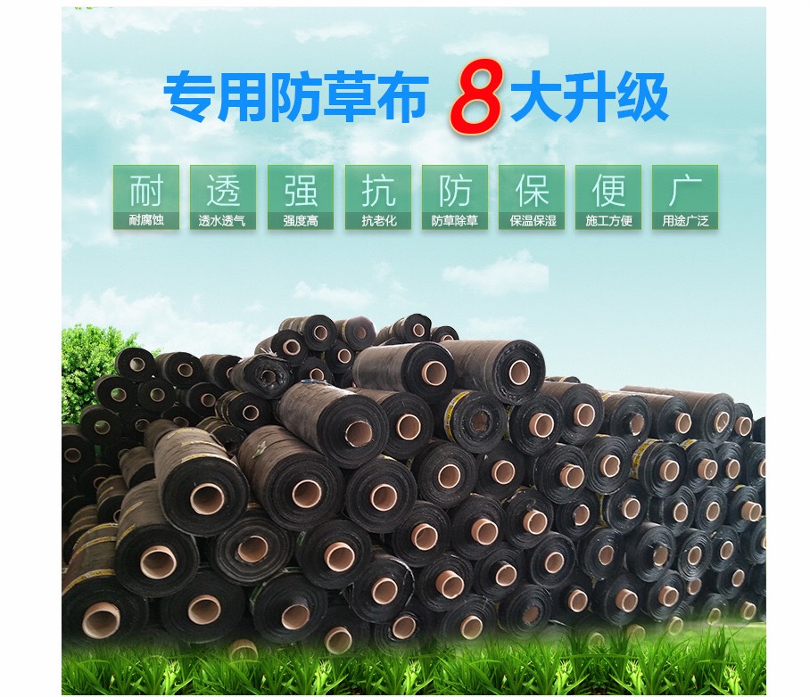 1618545855133180.jpg 2.jpg