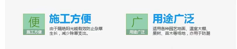 1618545868235702.jpg 4.jpg