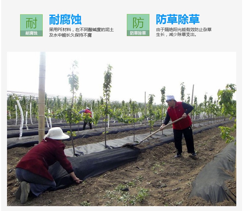 1618545875240619.jpg 5.jpg