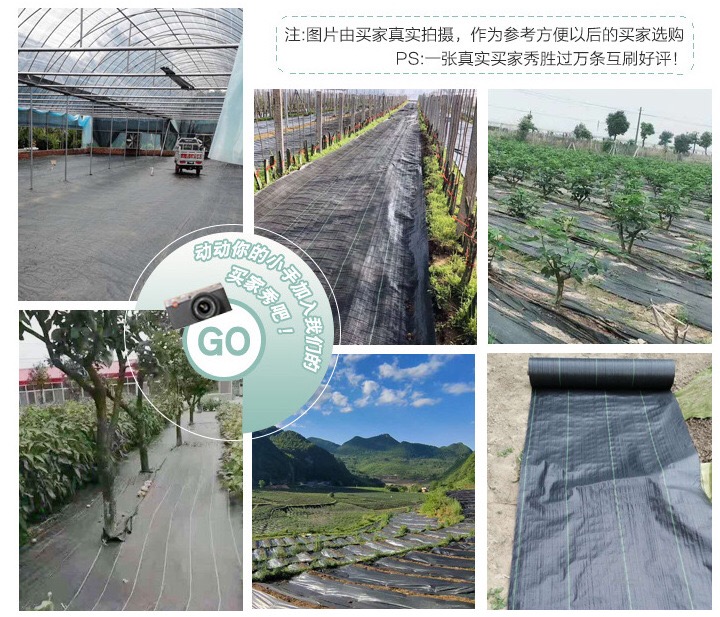 1618545890666299.jpg 6.jpg