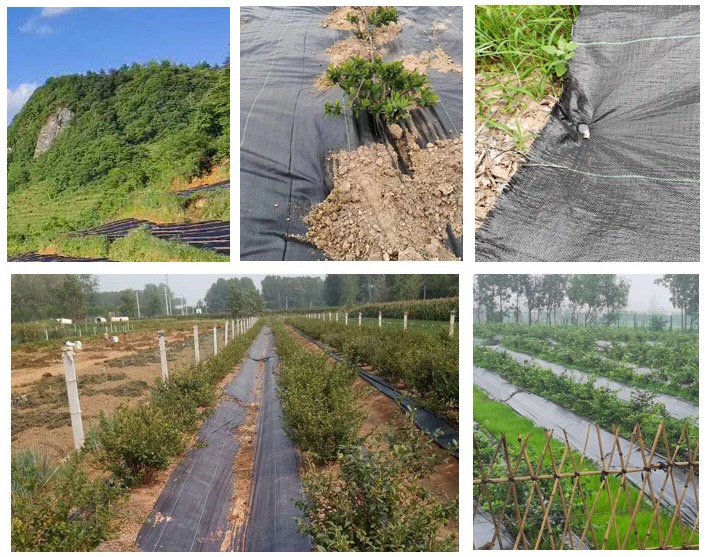 1618545906246871.jpg 6.5.jpg