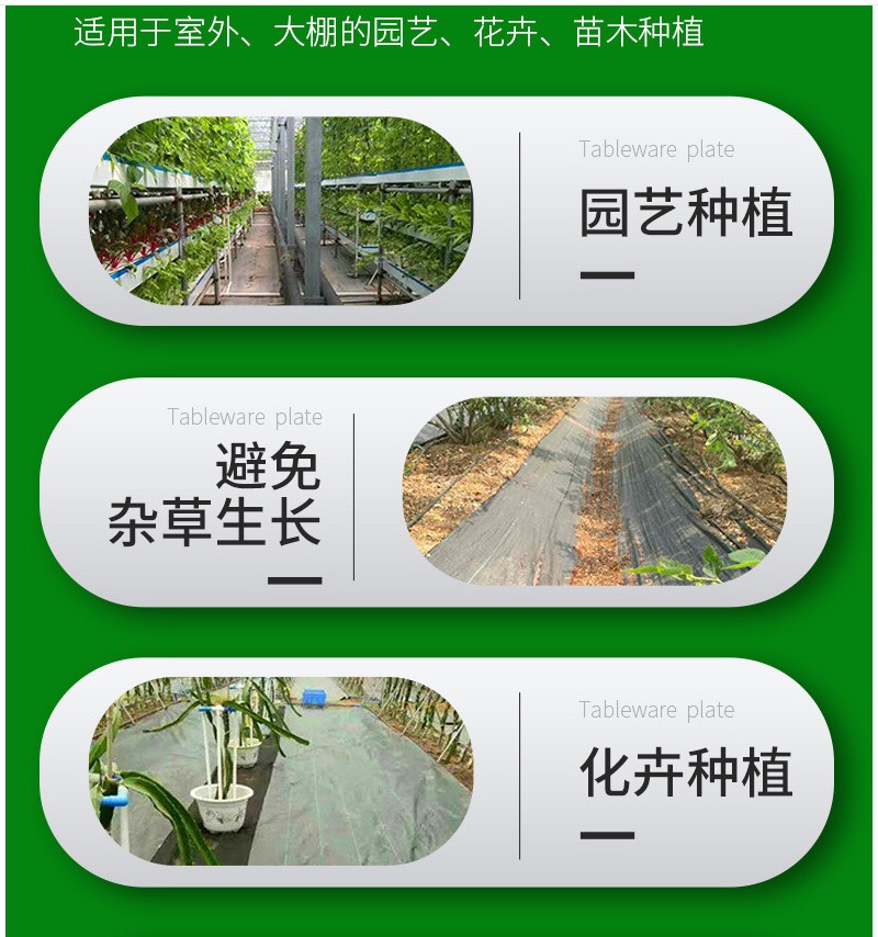 1618545912332367.jpg 7.jpg