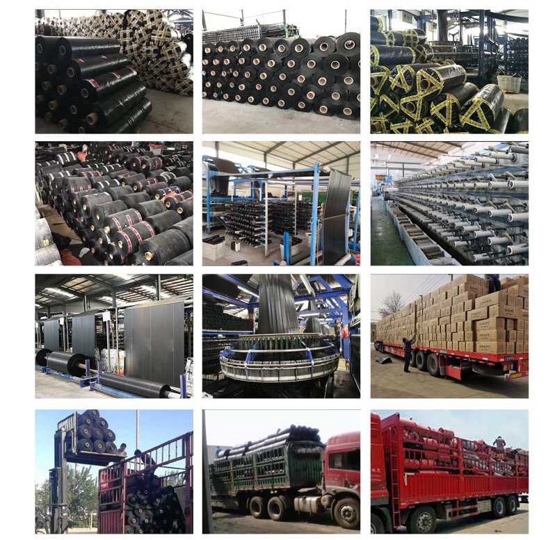 1618545972298850.jpg 13.jpg